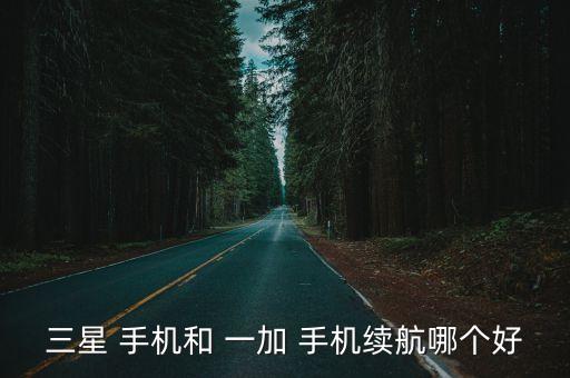 三星 手機(jī)和 一加 手機(jī)續(xù)航哪個(gè)好