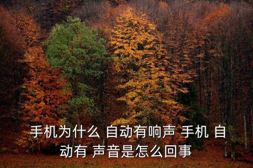  手機(jī)為什么 自動(dòng)有響聲 手機(jī) 自動(dòng)有 聲音是怎么回事