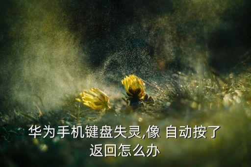  華為手機(jī)鍵盤失靈,像 自動(dòng)按了 返回怎么辦