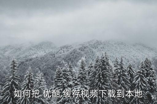 如何把 優(yōu)酷 緩存視頻下載到本地
