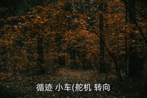 循跡 小車(舵機(jī) 轉(zhuǎn)向