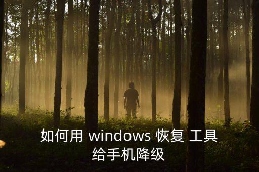 windows自動恢復(fù)工具,點(diǎn)擊重新安裝軟件回滾到桌面