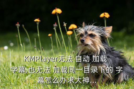 KMPlayer無法 自動(dòng) 加載 字幕,也無法 加載同一目錄下的 字幕怎么辦求大神...