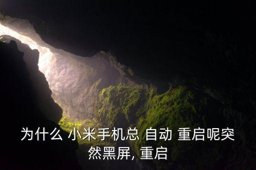 為什么 小米手機總 自動 重啟呢突然黑屏, 重啟