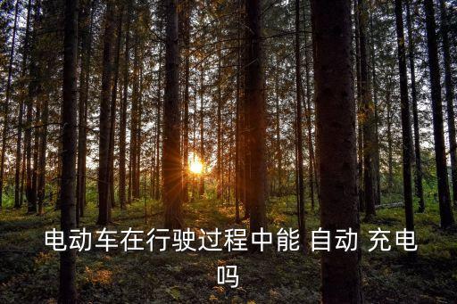  電動車在行駛過程中能 自動 充電嗎