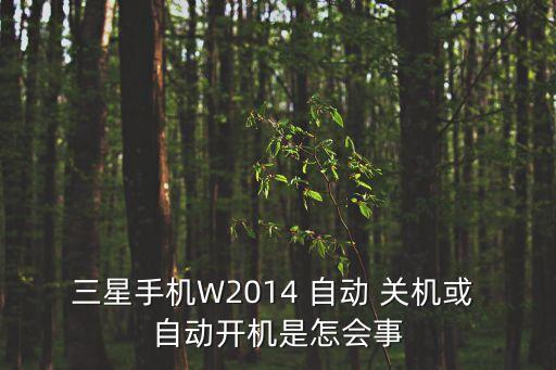 w8.1自動關(guān)機(jī),三星手機(jī)自動關(guān)機(jī)怎么辦?