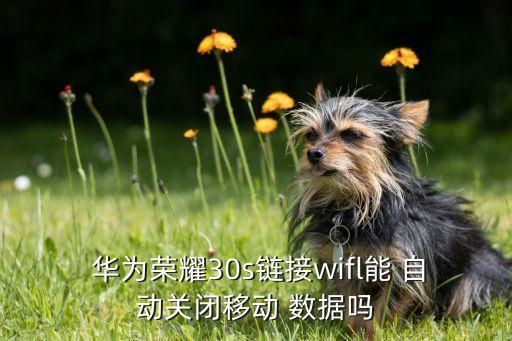  華為榮耀30s鏈接wifl能 自動關(guān)閉移動 數(shù)據(jù)嗎