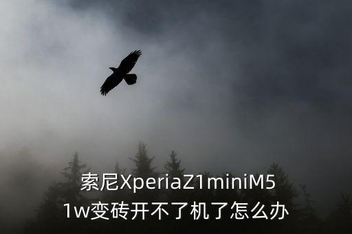 索尼z1mini自動(dòng)重啟,刷入恢復(fù)模式】方法步驟如下