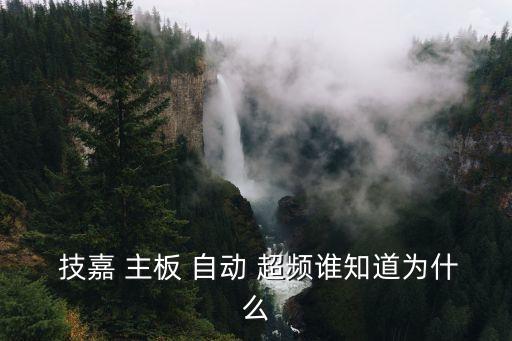  技嘉 主板 自動(dòng) 超頻誰知道為什么