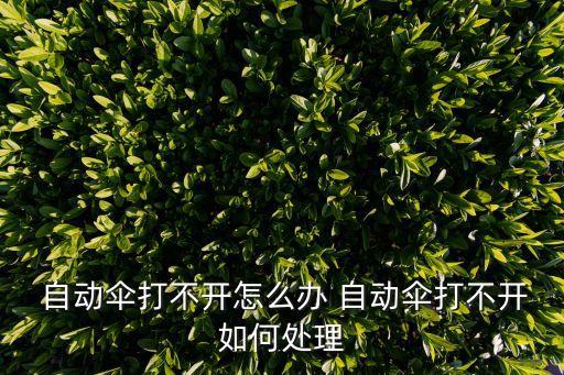  自動(dòng)傘打不開怎么辦 自動(dòng)傘打不開如何處理