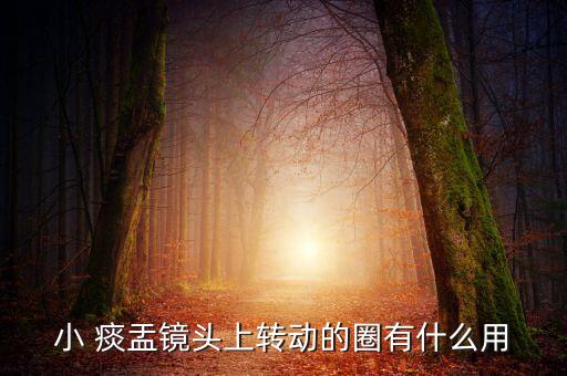 a7轉(zhuǎn)接 小痰盂 自動(dòng)對(duì)焦,拍照抖動(dòng)不是對(duì)焦環(huán)和鏡筒故障
