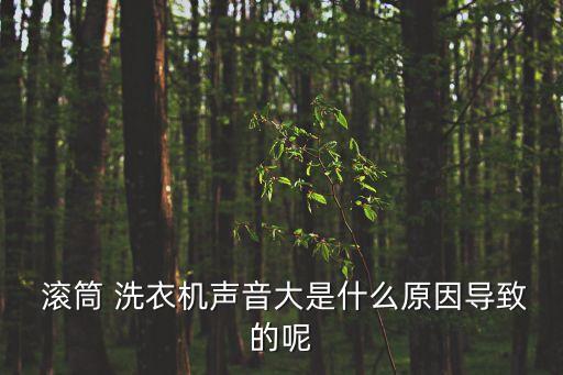  滾筒 洗衣機聲音大是什么原因?qū)е碌哪? class=