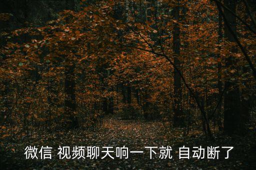  微信 視頻聊天響一下就 自動斷了