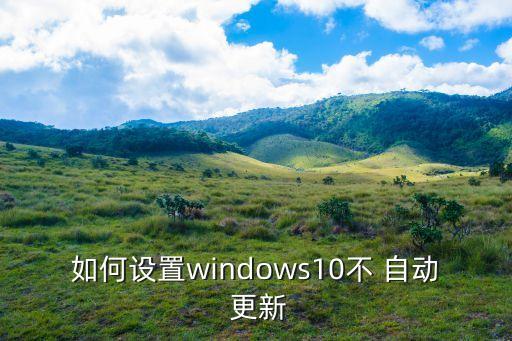如何設(shè)置windows10不 自動(dòng) 更新
