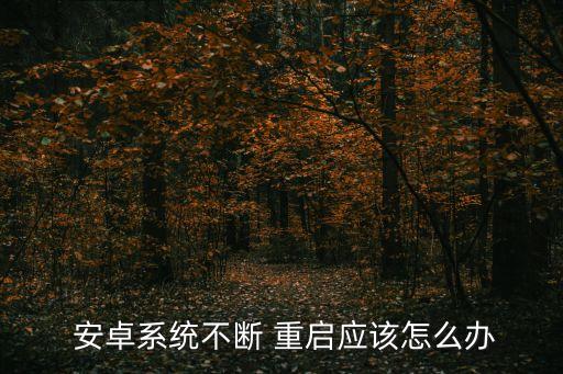 安卓自動軟重啟,手機自動重啟不規(guī)則可能是軟件沖突導致