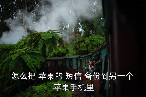 怎么把 蘋果的 短信 備份到另一個(gè) 蘋果手機(jī)里