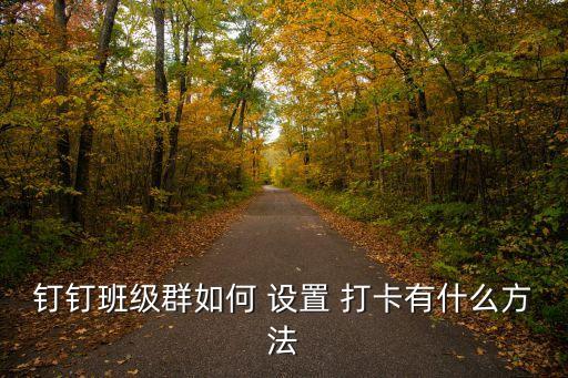 釘釘班級(jí)群如何 設(shè)置 打卡有什么方法