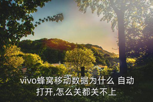  vivo蜂窩移動(dòng)數(shù)據(jù)為什么 自動(dòng)打開,怎么關(guān)都關(guān)不上