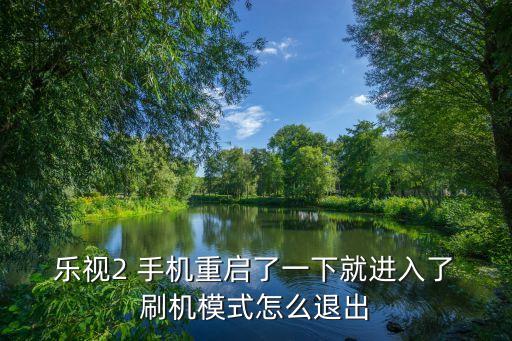 樂視手機自動進入刷機,手機重啟如何退出?