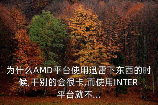 為什么AMD平臺使用迅雷下東西的時候,干別的會很卡,而使用INTER平臺就不...