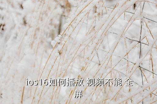 ios 禁止視頻自動全屏,為什么玩視頻不能全屏?一文看懂