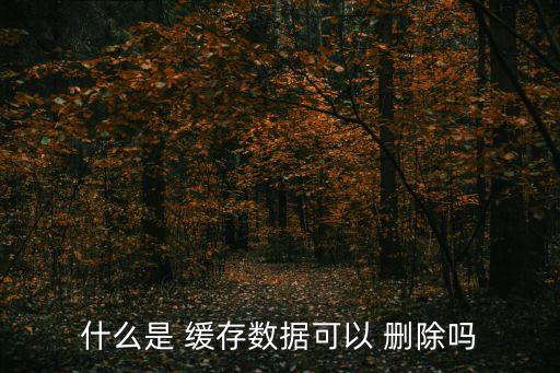 什么是 緩存數(shù)據(jù)可以 刪除嗎
