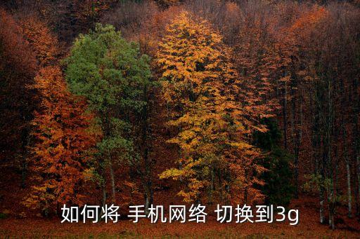 手機(jī)怎么自動切換3g4g,如何進(jìn)行雙卡和移動網(wǎng)絡(luò)設(shè)置?