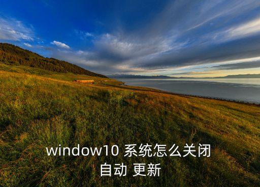  window10 系統(tǒng)怎么關(guān)閉 自動 更新