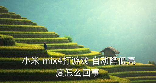 小米mix自動暗屏,手機自動亮度太暗怎么調(diào)整?