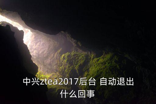 中興ztea2017后臺(tái) 自動(dòng)退出什么回事