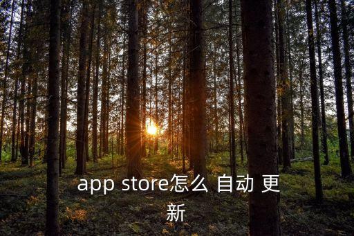 app store無法自動更新,蘋果手機怎么辦?!