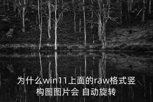 為什么win11上面的raw格式豎構(gòu)圖圖片會(huì) 自動(dòng)旋轉(zhuǎn)