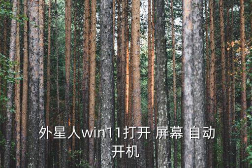  外星人win11打開(kāi) 屏幕 自動(dòng)開(kāi)機(jī)