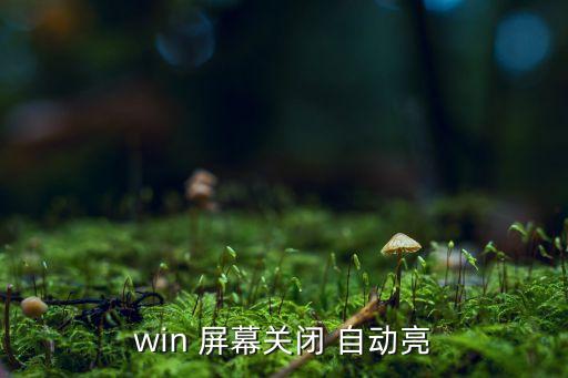 i7怎么取消自動亮屏幕,臺式電腦屏幕如何調節(jié)亮度和程序