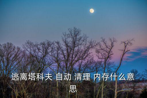逃離塔科夫 自動(dòng) 清理 內(nèi)存什么意思