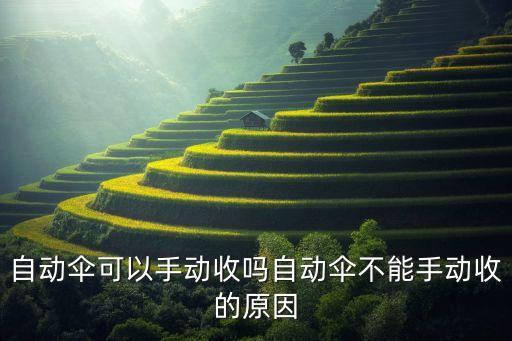 全自動雨傘收不了,自動雨傘怎么用?這樣做可以防止傘骨糾纏