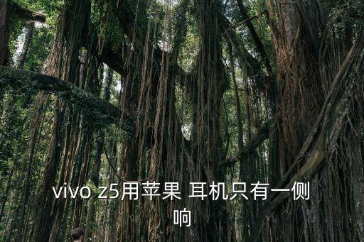 vivo z5用蘋果 耳機(jī)只有一側(cè)響