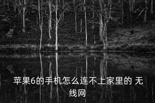  蘋(píng)果6的手機(jī)怎么連不上家里的 無(wú)線網(wǎng)