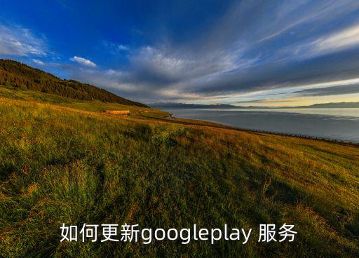 如何更新googleplay 服務(wù)
