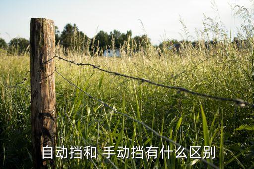  自動(dòng)擋和 手動(dòng)擋有什么區(qū)別