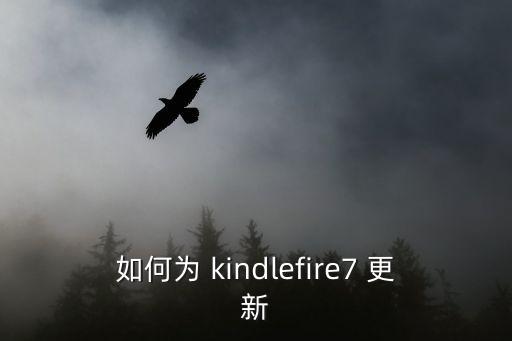 如何為 kindlefire7 更新