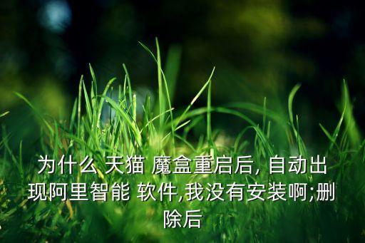 為什么 天貓 魔盒重啟后, 自動(dòng)出現(xiàn)阿里智能 軟件,我沒有安裝啊;刪除后