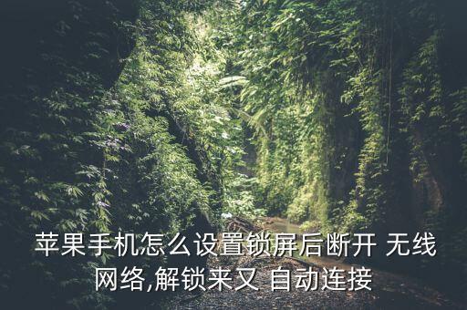  蘋果手機(jī)怎么設(shè)置鎖屏后斷開 無線網(wǎng)絡(luò),解鎖來又 自動(dòng)連接