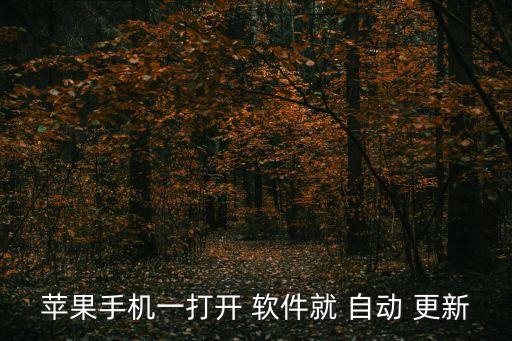 蘋果手機(jī)一打開 軟件就 自動 更新