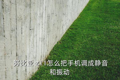  努比亞 z11怎么把手機(jī)調(diào)成靜音和振動(dòng)