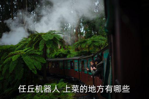任丘機器人 上菜的地方有哪些