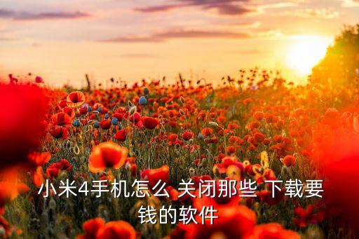 小米4怎么關(guān)閉自動(dòng)下載東西,小米禁用手機(jī)的功能在哪里?