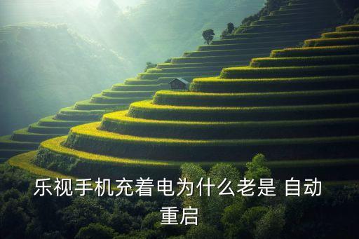  樂視手機充著電為什么老是 自動 重啟