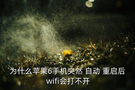 為什么蘋果6手機(jī)突然 自動(dòng) 重啟后 wifi會(huì)打不開