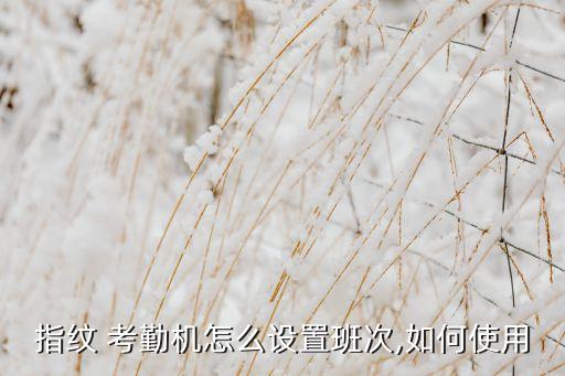 考勤機(jī)怎么自動(dòng)打卡,如何使用指紋考勤機(jī)?